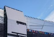 Expo
